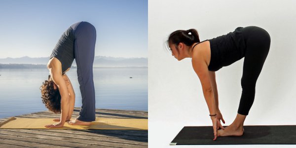 forward - half forward bend
